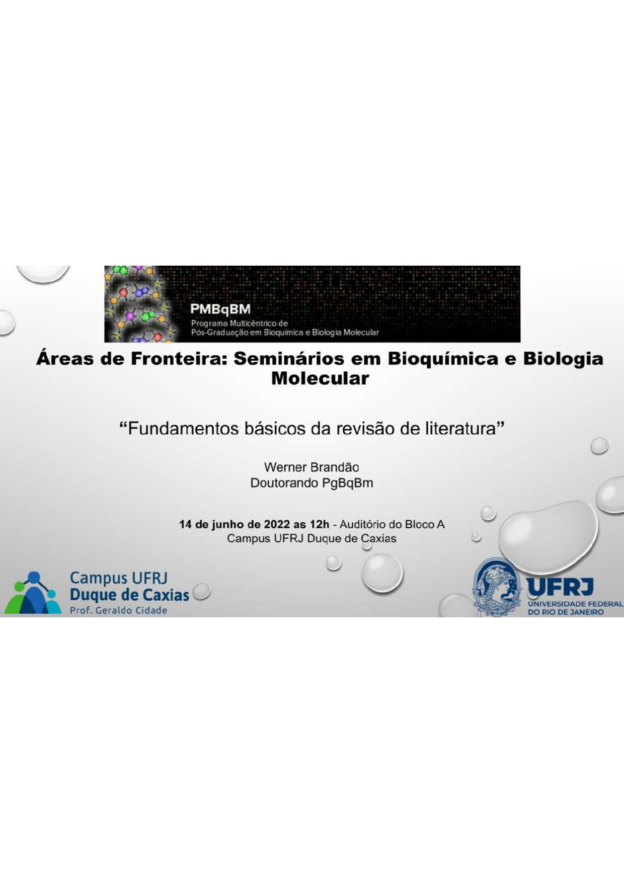 Areas de Fronteira: Fundamentos Básicos da Revisão de Literatura